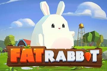 Fat Rabbit