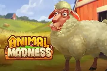 Animal Madness